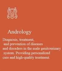 Diagnosis, treatment, and prevention of diseases and disorders in the male genitourinary system. Providing personalized care and high-quality treatment.